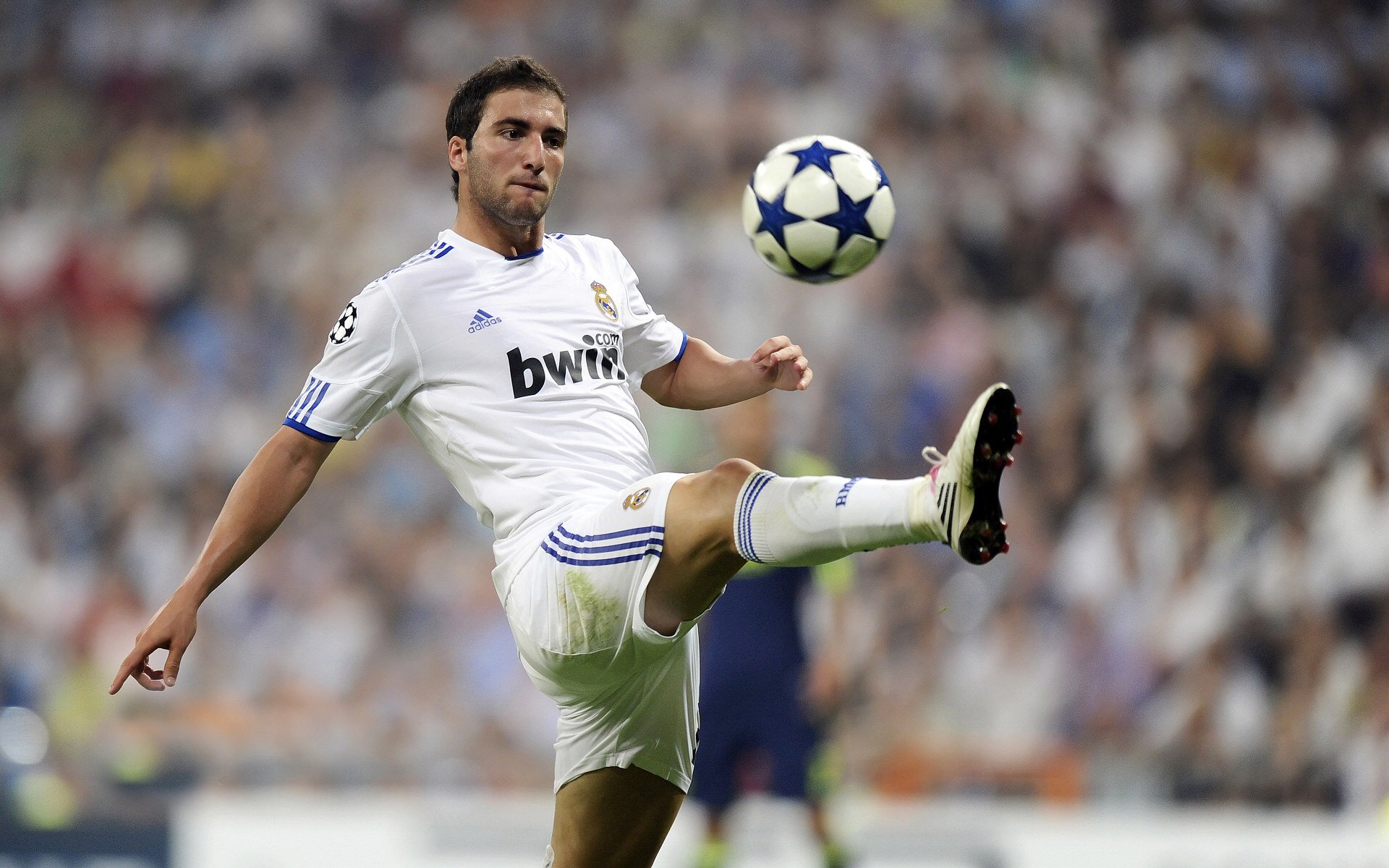 “德甲最后冲刺，几支球队争夺冠军命运”，德甲最后几名降级